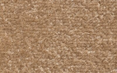 Budget Twist pile carpet – Bleach Cleanable (Felt Backed) – 10438
